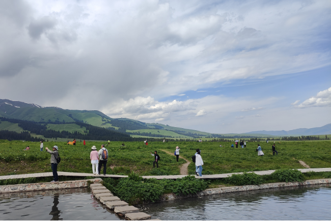 1750779095206263.png 1748500649613.png