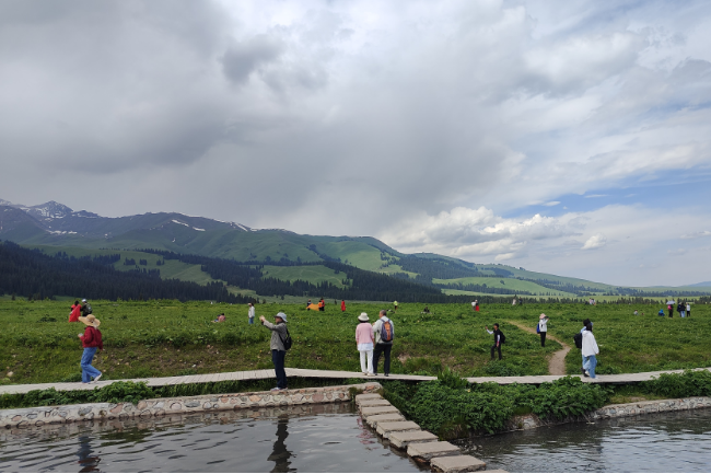 1750779471376241.png 1748500610893.png