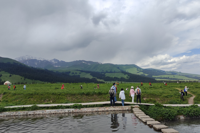 1750779527728961.png 1748500738520.png