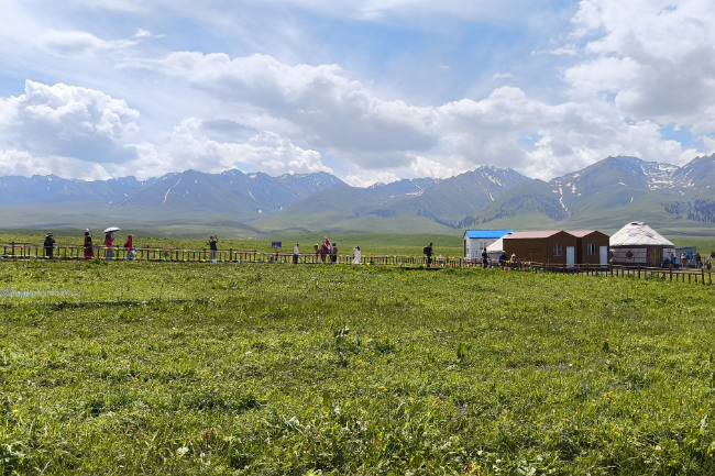 1750869534372027.png 1748820515547.png