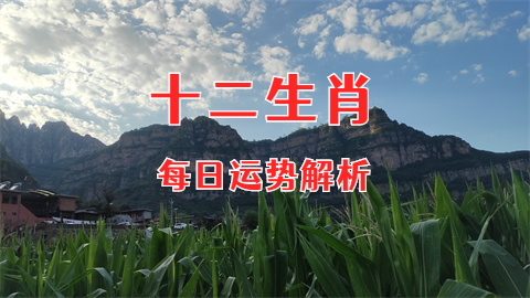 1753371698517723.png 未命名图片 (53).png