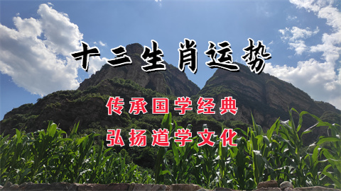 1754447693759548.jpg 未命名图片 (90).jpg