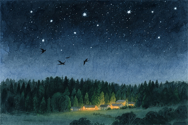 1759161596340144.jpg 微信图片_20250704121926.jpg