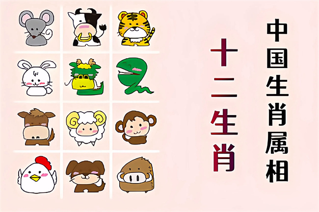 未命名图片 (2).jpg