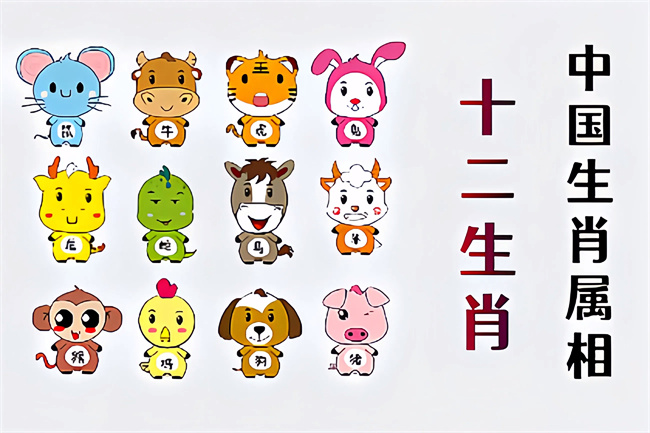 未命名图片 (12).jpg