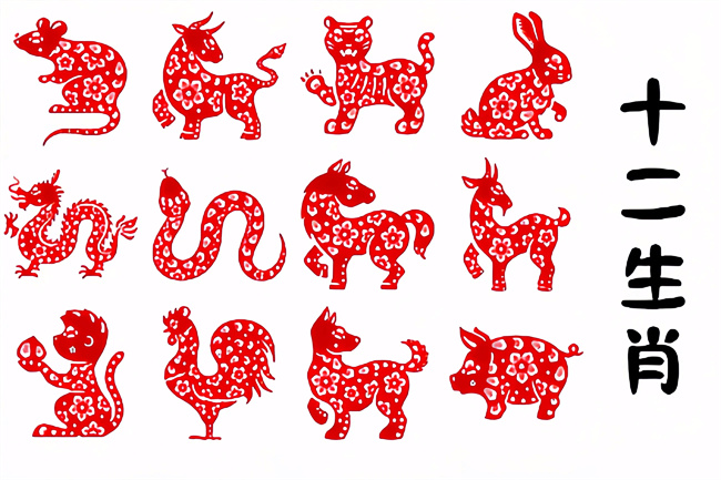 1761963602117939.jpg 1692685956842.jpg