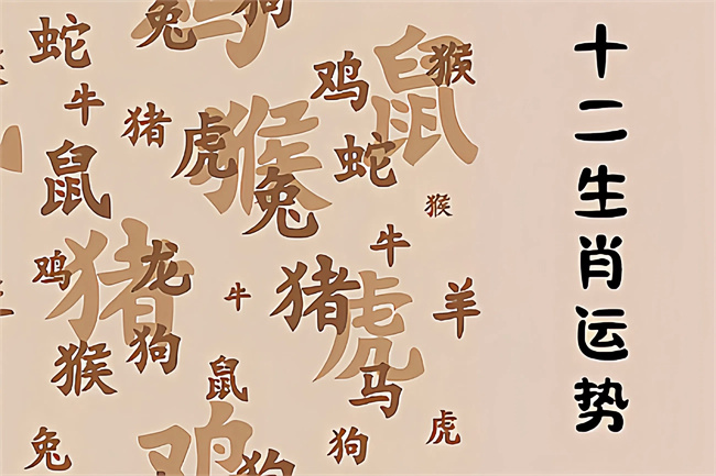 1761964002654823.jpg 未命名图片 (72).jpg