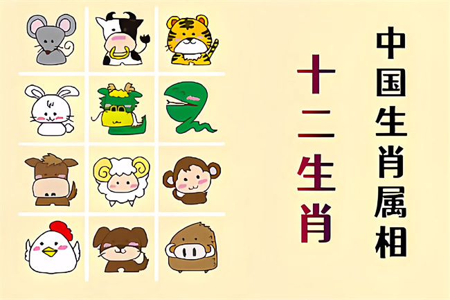 1761964069787489.jpg 未命名图片 (6).jpg