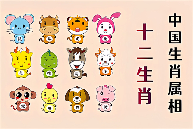 未命名图片 (15).jpg