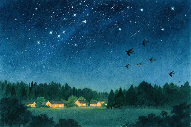 1762145527825001.jpg 微信图片_20250704121822.jpg