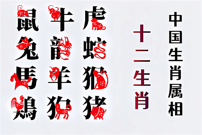 未命名图片 (10).jpg