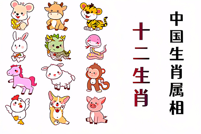 1762311909866740.jpg 1692682136359.jpg