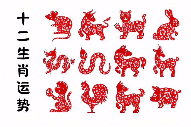 未命名图片 (23).jpg