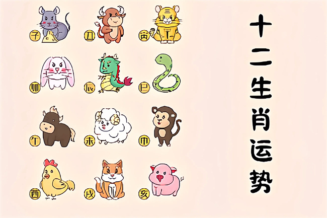 1762402024757736.jpg 未命名图片 (41).jpg