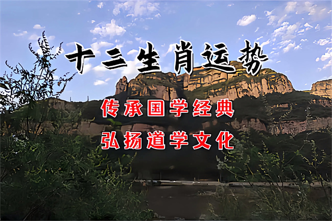 1762737083177035.jpg e4eb66b2-e077-4009-8a66-cb3b5f67a814.jpg