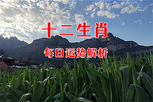 1762737589822760.jpg dbeb80d5-0859-4191-85ee-8ee66e675c8e.jpg