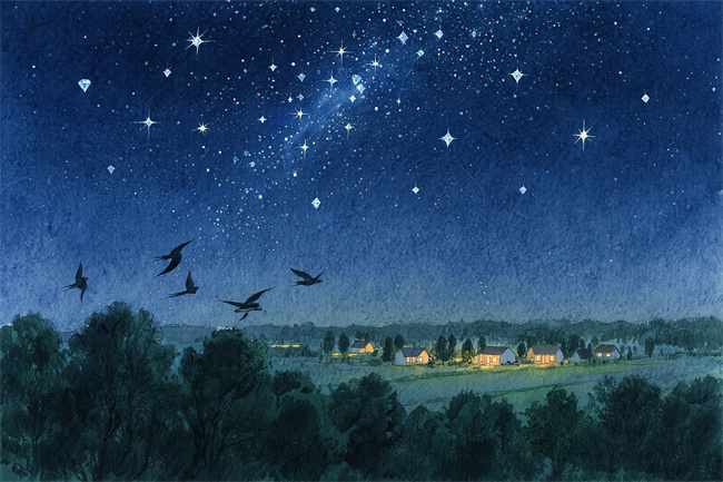 1765207565225287.jpg 微信图片_20250704123316.jpg