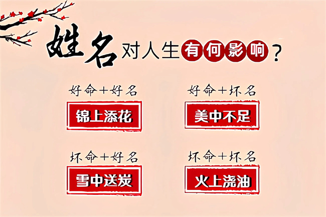 未命名图片 (12).jpg