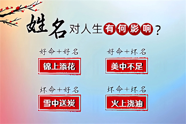 未命名图片 (6).jpg