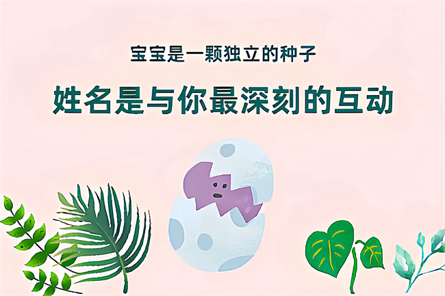 未命名图片 (56).jpg