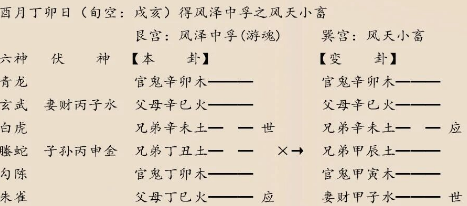 1770964715338321.png f02b010f-d932-40ec-b635-3e1074a0c74d.png