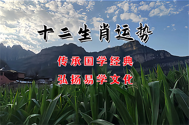 1771723093750742.jpg 79817e22-4f14-471c-ac03-0d7078a71f17.jpg