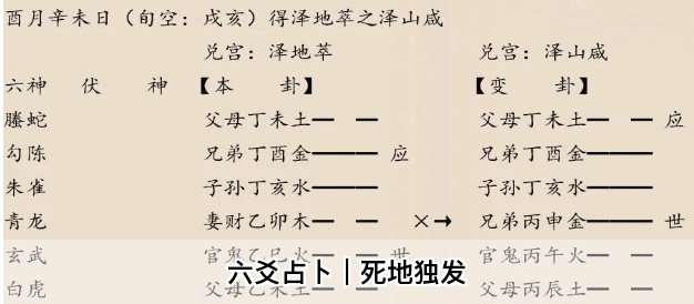 1772359678547459.png 1772359692979.png