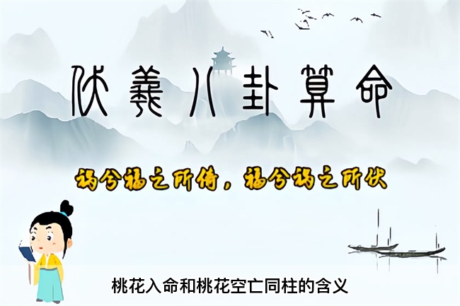 1772600312628704.jpg ae4ba29d4868dbac9ab03e9f0d7f4195.jpg