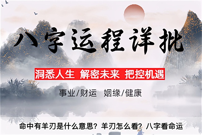 1772774864580679.jpg 未命名图片(715).jpg