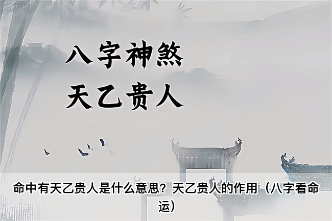 未命名图片 (5).jpg