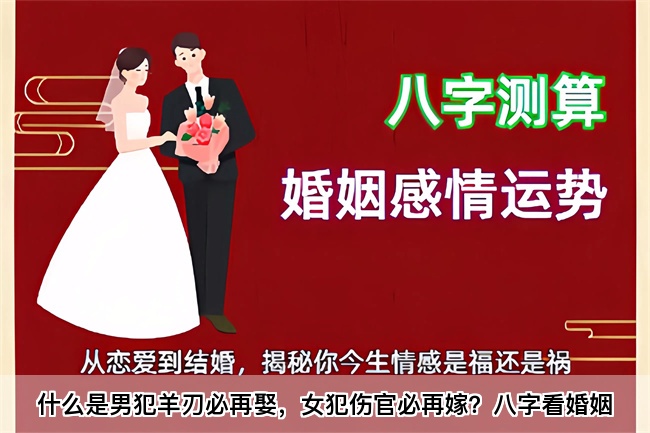 未命名图片 (25).jpg