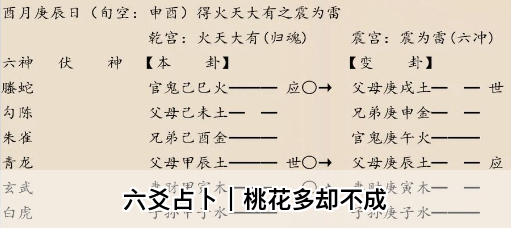 1774249148710072.png e6d78e58-6634-4fef-b269-b8673d9b5db7.png