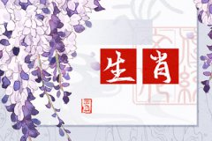 2023兔年生肖运势<font color=