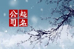 2023年最好的公司起名大全：美好寓意的名字