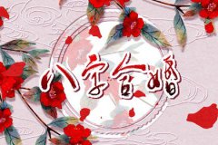 离婚又<font color=