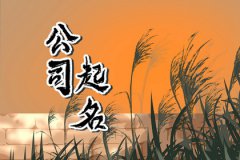 关于财字的公司名称：霸气有内涵的公司起名