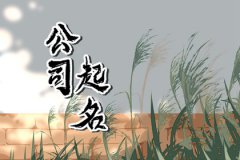 适合注册公司的名字大全：简洁大气的公司起名