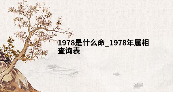 1978是什么命_<font color=