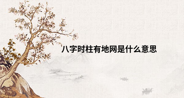 八字时柱有地网是什么意思
