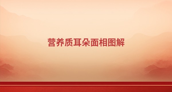 营养质耳朵面相图解