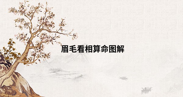 眉毛看相算命图解