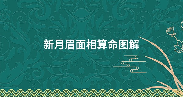 新月眉面相算命图解