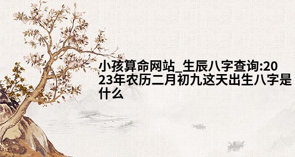 小孩算命网站_生辰八字查询:2023年农历二月初九这天出生八字是什么