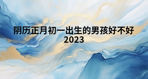 阴历正月初一出生的男孩好不好2023 命运如何_徐州哪里有算命准的