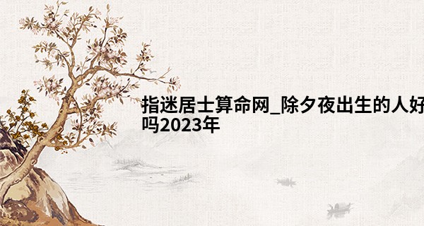 指迷居士算命网_除夕夜出生的人好吗2023年 性格怎么样