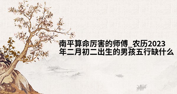 南平算命厉害的师傅_农历2023年二月初二出生的男孩五行缺什么,命好不好