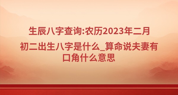 生辰八字查询:农历2023年二月初二出生八字是什么_算命说夫妻有口角什么意思