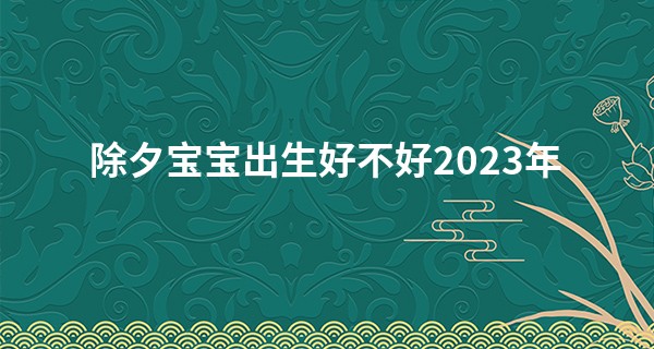 除夕宝宝出生好不好2023年 性格怎么样_免费算命不求人农历算命法