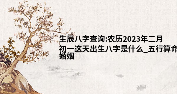 生辰八字查询:农历2023年二月初一这天出生八字是什么_五行算命婚姻