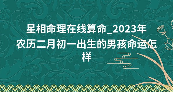 星相命理在线算命_2023年农历二月初一出生的男孩命运怎样,五行缺什么